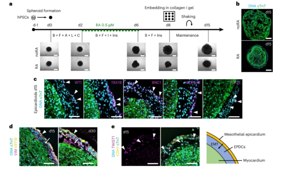 1685358751491739.png 1685358751491739.png