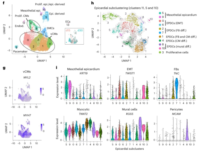 1685358778379903.png 1685358778379903.png