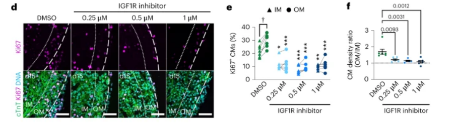 1685358805185244.png 1685358805185244.png