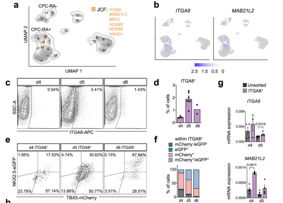 1685358885336374.png 1685358885336374.png