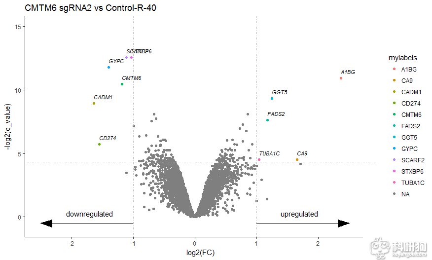 Rplot-R40.png