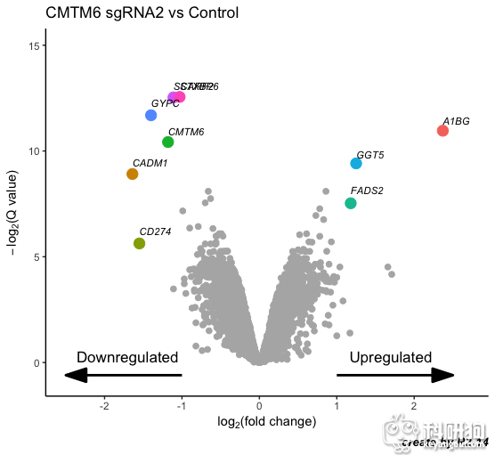 Rplot.png