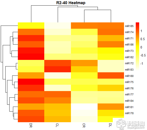 Rplot-8-40.png